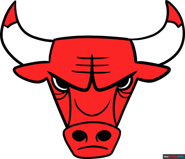 Chicago Bulls