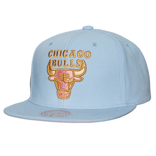 SNAPBACK NEW RELEASE Pastel Snapback Chicago Bulls