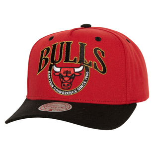 Men Crown Jewels Pro Snapback HWC Chicago Bulls