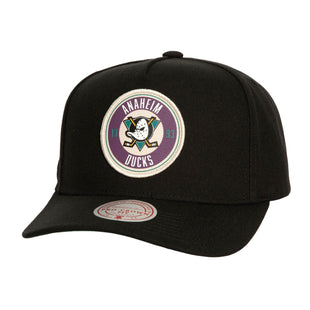 Men Circle Change Pro Snapback Vntg Anaheim Ducks