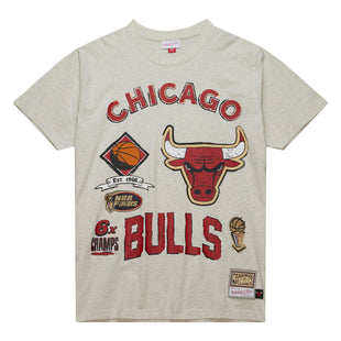 Legacy Defined SS Tee HWC Chicago Bulls