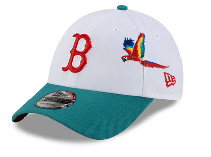 Boston Red Sox Honduras City Elements 9FORTY Snapback