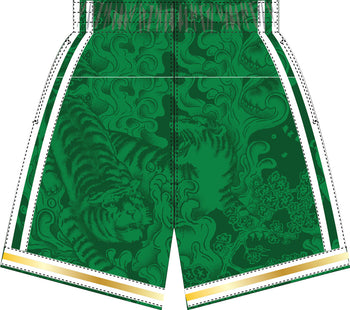 Men Water Tiger Men Boston Celtics shorts