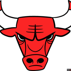 Chicago Bulls