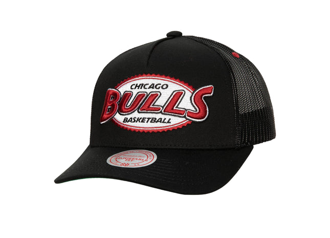 Team Seal Trucker Snapback HWC Chicago Bulls