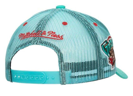 Team Seal Trucker Snapback HWC Vancouver Grizzlies