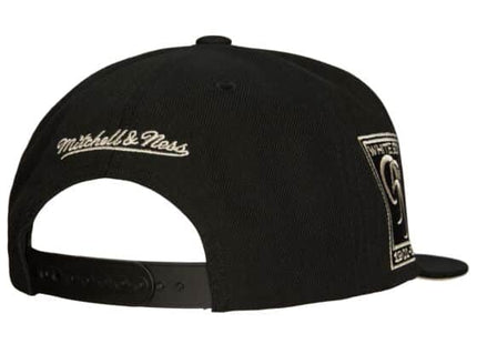 Team Classic Snapback Coop Chicago White Sox