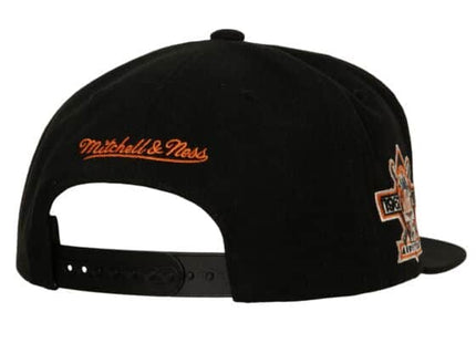 Team Classic Snapback Coop New York Mets