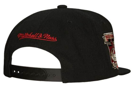 Team Classic Snapback Coop St. Louis Cardinals