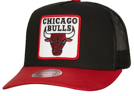 Truck It Trucker Snapback Chicago Bulls