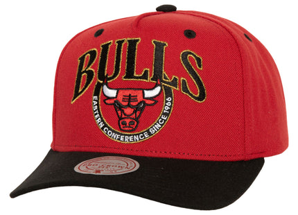 Men Crown Jewels Pro Snapback HWC Chicago Bulls