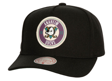 Men Circle Change Pro Snapback Vntg Anaheim Ducks