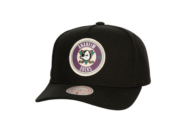 Men Circle Change Pro Snapback Vntg Anaheim Ducks