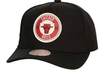 Circle Change Pro Snapback Chicago Bulls