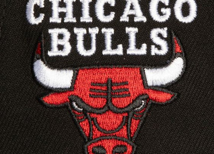 Circle Change Pro Snapback Chicago Bulls