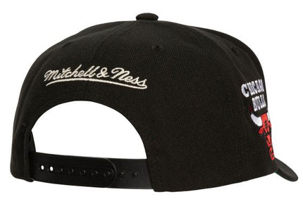 Circle Change Pro Snapback Chicago Bulls