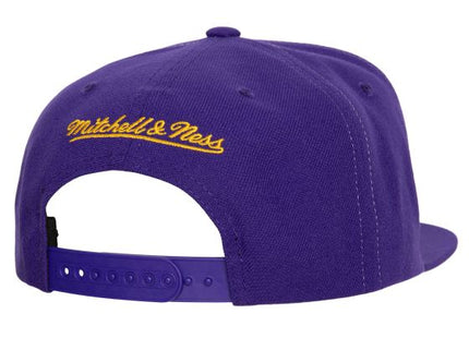 Men Full Frontal Snapback Los Angeles Lakers