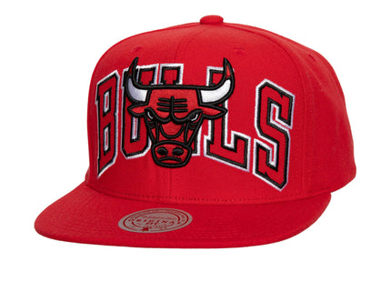 Men Full Frontal Snapback Chicago Bulls