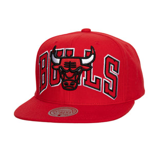 Men Full Frontal Snapback Chicago Bulls
