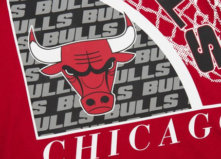 Logo Blast SS Tee HWC Chicago Bulls