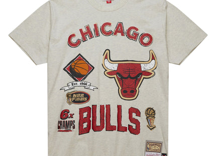 Legacy Defined SS Tee HWC Chicago Bulls