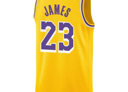 Nike Kids' Los Angeles Lakers LeBron James #23 Icon Edition Swingman Jersey