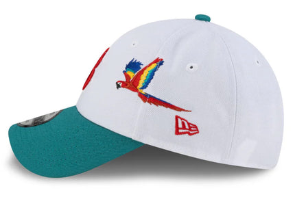 Boston Red Sox Honduras City Elements 9FORTY Snapback