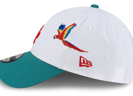 Men Los Angeles Dodgers Honduras City Elements 9FORTY Snapback