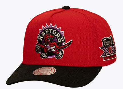 Toronto Raptors Red/Black Hardwood Classics In the City Pro Pinch Snapback Hat