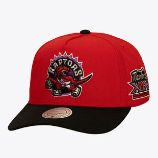 Toronto Raptors Red/Black Hardwood Classics In the City Pro Pinch Snapback Hat