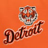 Detroit Tigers Orange/Black In the City Pro Pinch Snapback Hat