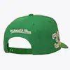 Larry Bird Boston Celtics Kelly Green Hardwood Classics Player Script Pro Pinch Snapback Hat