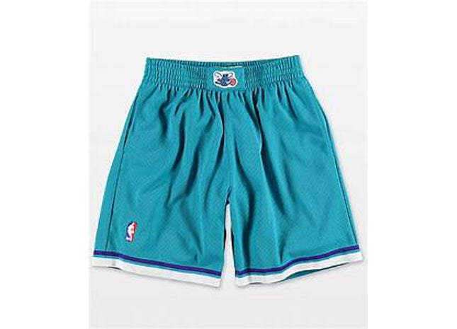 Youth Charlotte Hornets shorts Mitchell&ness