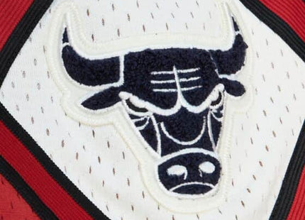 Off Court Chenille Swingman Chicago Bulls 1997-98 Shorts