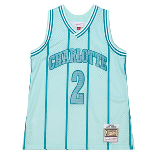 Men Space Knit Swingman Larry Johnson Charlotte Hornets 1992-93 Jersey