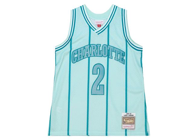 Men Space Knit Swingman Larry Johnson Charlotte Hornets 1992-93 Jersey