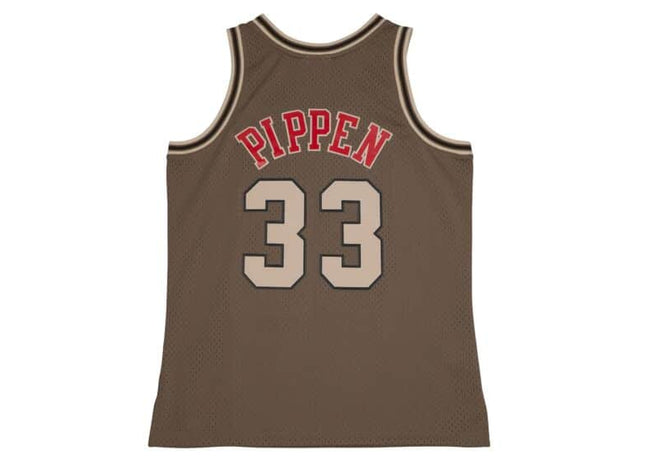 Men Astro Swingman Scottie Pippen Chicago Bulls 1997-98 Jersey