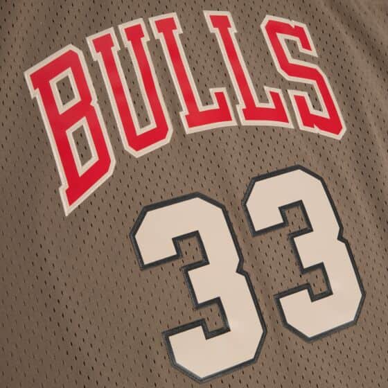 Men Astro Swingman Scottie Pippen Chicago Bulls 1997-98 Jersey