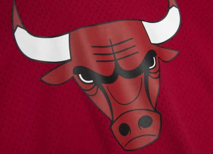 Buzzer Beater Mesh S/S Hoody Chicago Bulls
