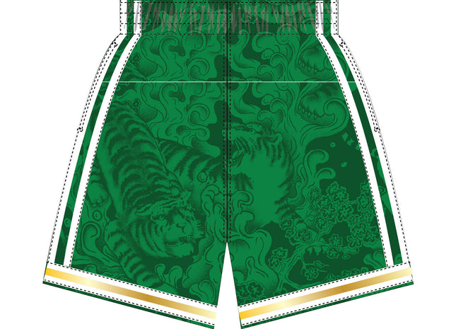 Men Water Tiger Men Boston Celtics  shorts