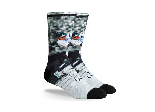 New York Yankees judge pop crew socks
