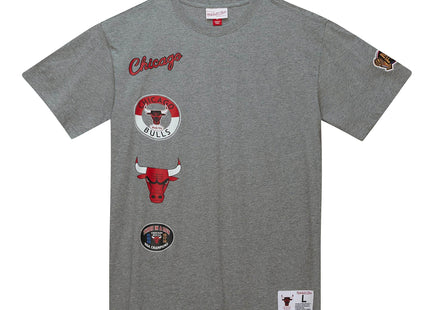 City Collection SS Tee Chicago Bulls