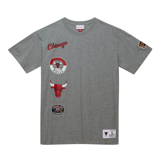 City Collection SS Tee Chicago Bulls