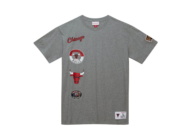 City Collection SS Tee Chicago Bulls