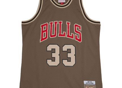 Men Astro Swingman Scottie Pippen Chicago Bulls 1997-98 Jersey