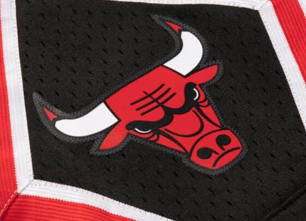 Men Reload Swingman Chicago Bulls 1995-96 Shorts