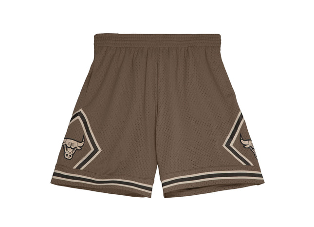 Astro Swingman Chicago Bulls 1997-98 Shorts